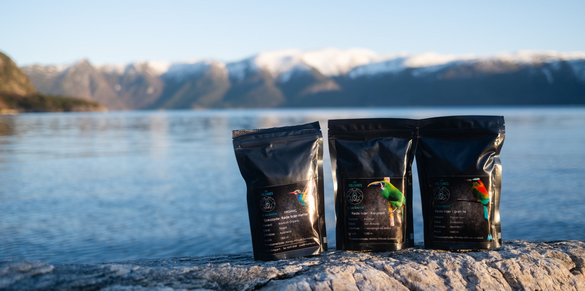 LvKaffe