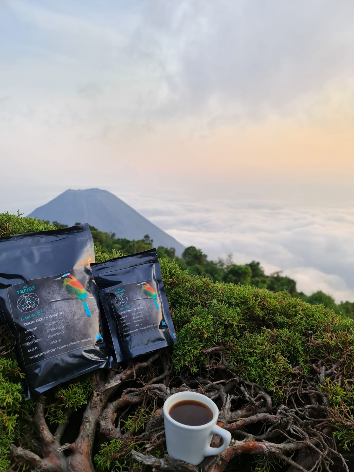Dugnadskaffe Pacamara